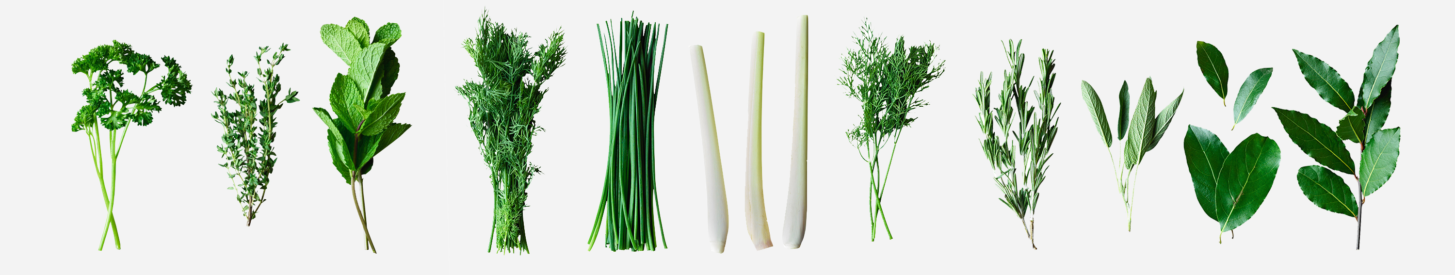 Image of garden herbs