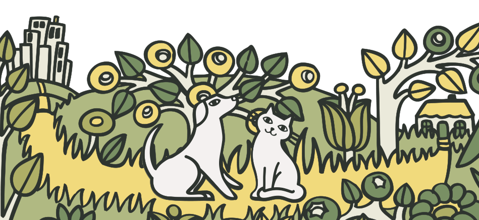 lily's kitchen dog food waitrose