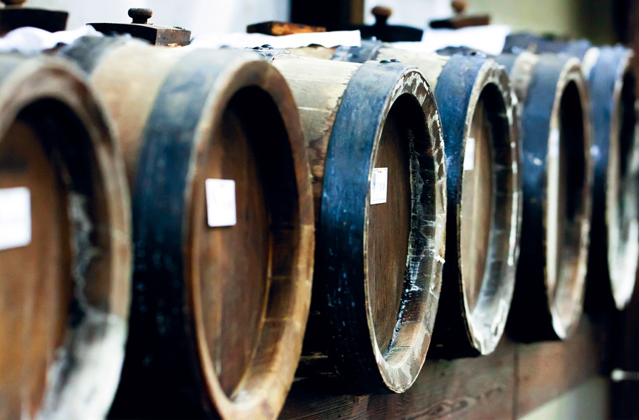 Image of Olive Oils