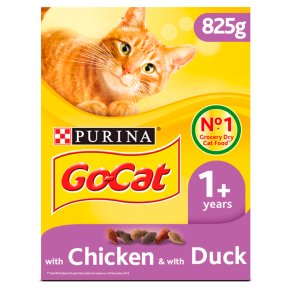 Go-Cat with Chicken and Duck