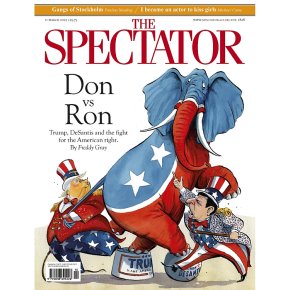 Spectator