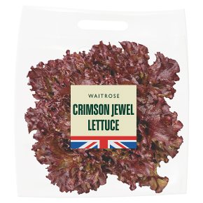 Waitrose Crimson Jewel Lettuce