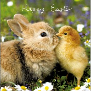 Rabbit With Chick, Happy Easter Card