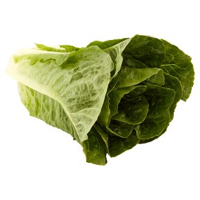 Waitrose Loose Romaine Lettuce