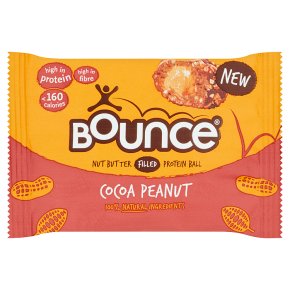 Bounce Cocoa Peanut Protein Ball