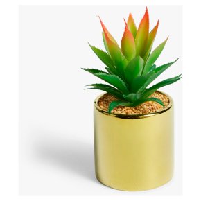 John Lewis Artificial Tall Spiky Succulent