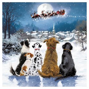 Dogs Watching Father Christmas Card