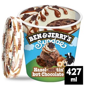 Ben & Jerry's HazlnuttinButChoc Chocolate Hazelnut Ice Cream Sundae