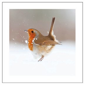 Festive Visitor Card