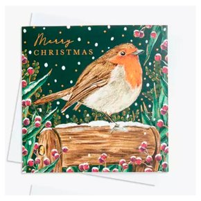 Waitrose Robin & Hedgehog 6s