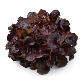 Natoora French Red Oakleaf Lettuce