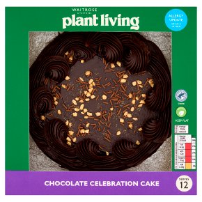 Plant Living Chocolate Cake