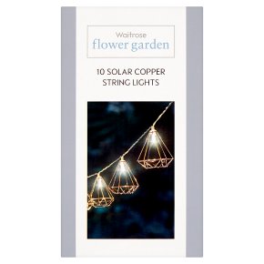 Waitrose 10 Solar Copper String Lights