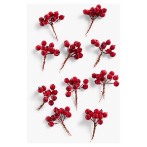 John Lewis Red Berry Pick Dec