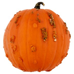 Waitrose Halloween Greenkin