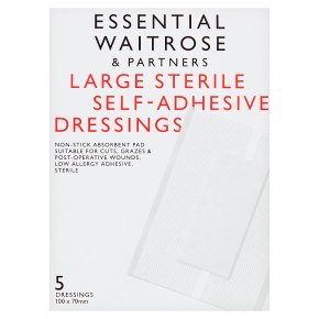 Essential Large Dressing