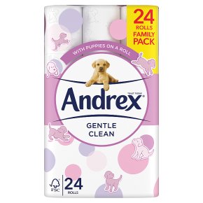 Andrex Gentle Clean 24 Rolls