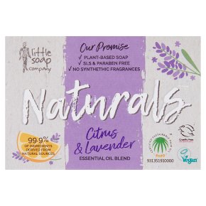 Little Soap Co Citrus Soap Bar