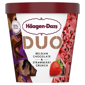 Häagen-Dazs Duo Chocolate & Strawberry Ice Cream