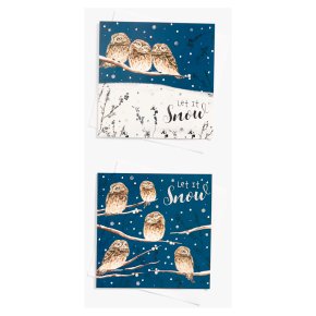John Lewis Mountain Owl 10pk