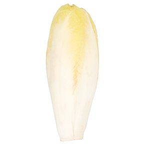 Waitrose Chicory