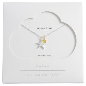 Estella Bartlett Mixed Metal Duo Star Necklace