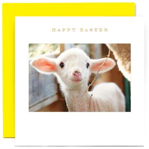 Lamb, Happy Easter Card