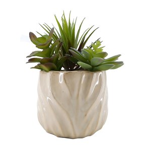 Curate Faux Floral Mixed Succulent in Ceramic Pot, 21.5cm Height