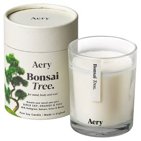 Aery Botanical Collection Bonsai Tree Jar Candle 200g