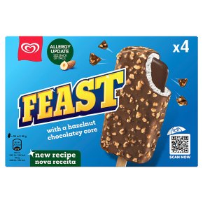 Feast Chocolate & Hazelnut Ice Cream
