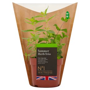 No.1 Summer Herb Mix