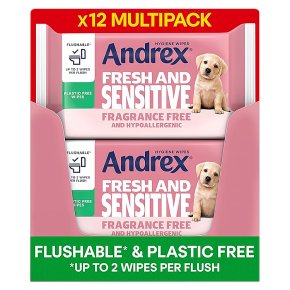 Andrex Wipes Fresh And Sensitive 360s
