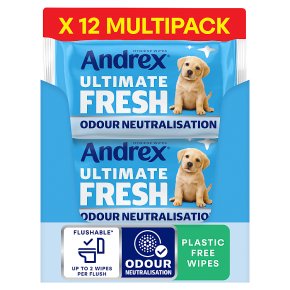 Andrex Fresh Moist Toilet Tissue Hygiene Wipes 432s