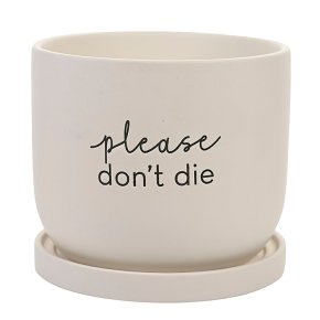 Country Living Ceramic Plant Pot, Please Don't Die