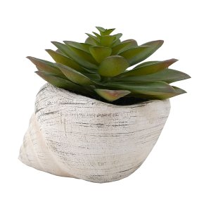 Curate Faux Floral Single Succulent in Conch Cement Pot, 11cm Height
