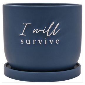 Country Living Ceramic Plant Pot, I Will Survive