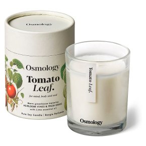 Osmology by Aery Tomato Leaf Scented Candle, 200g
