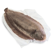No.1 Dover Sole Whole