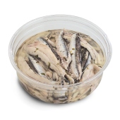 MSC Cantabrian Anchovies