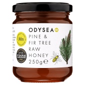 Odysea Pine and Fir Tree Raw Honey