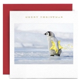 Penguin Chick With Star