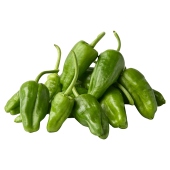 Natoora Padron Peppers