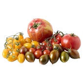 Natoora Seasonal Summer Tomato Selection Box