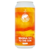 Lost and Grounded Wanna Go to the Sun Pale Ale