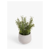 John Lewis Artificial Rosemary Plant & Concrete Pot