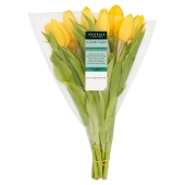 Waitrose Autumn Tulips