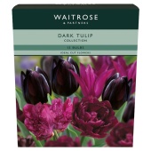 Waitrose Dark Tulip Collection Bulbs