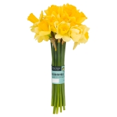 Waitrose Large Bunch Daffodils