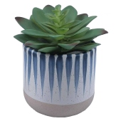 Curate Faux Floral Single Succulent in Blue Detail Ceramic Pot, 11cm Height