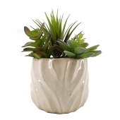 Curate Faux Floral Mixed Succulent in Ceramic Pot, 21.5cm Height